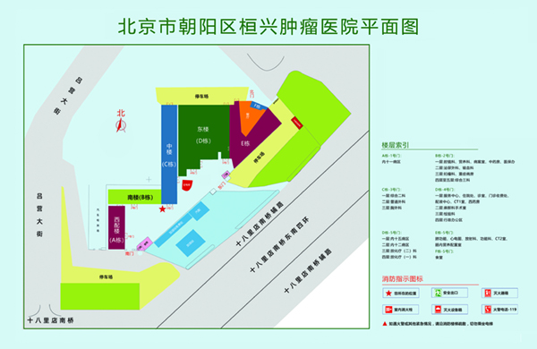 av里鸡吧大北京市朝阳区桓兴肿瘤医院平面图